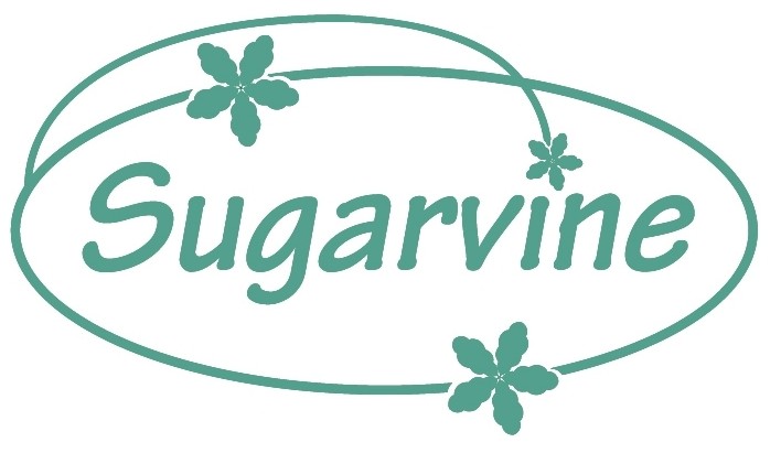クレイセラピー教室 Sugarvine